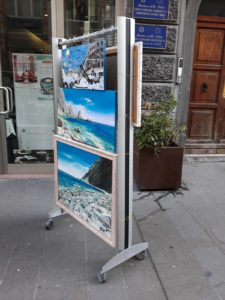 IMG-20181202-WA0013